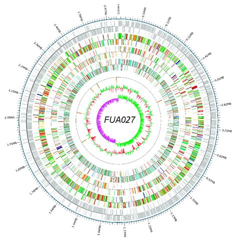 search for evidence of nergigante|Whole genome sequencing analysis of .
